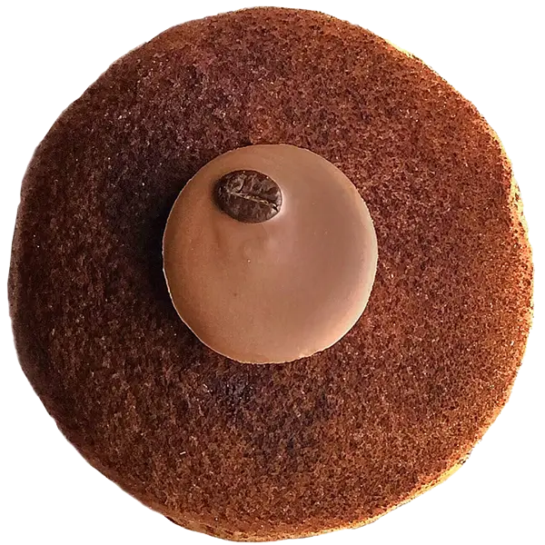 Mocha