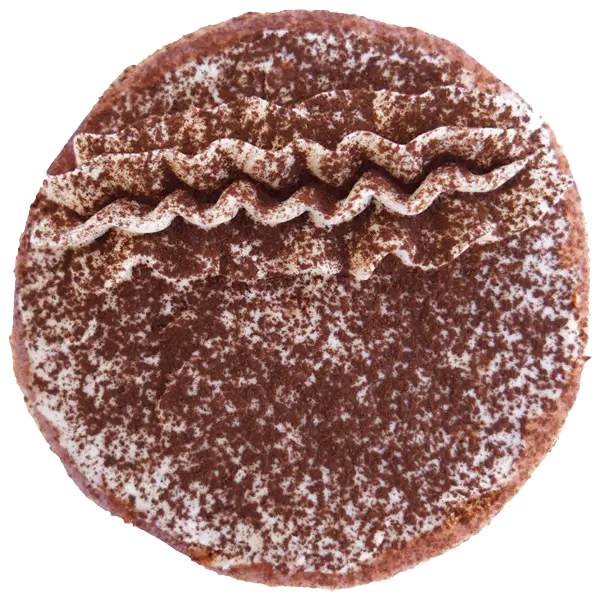 Tiramisu 240T